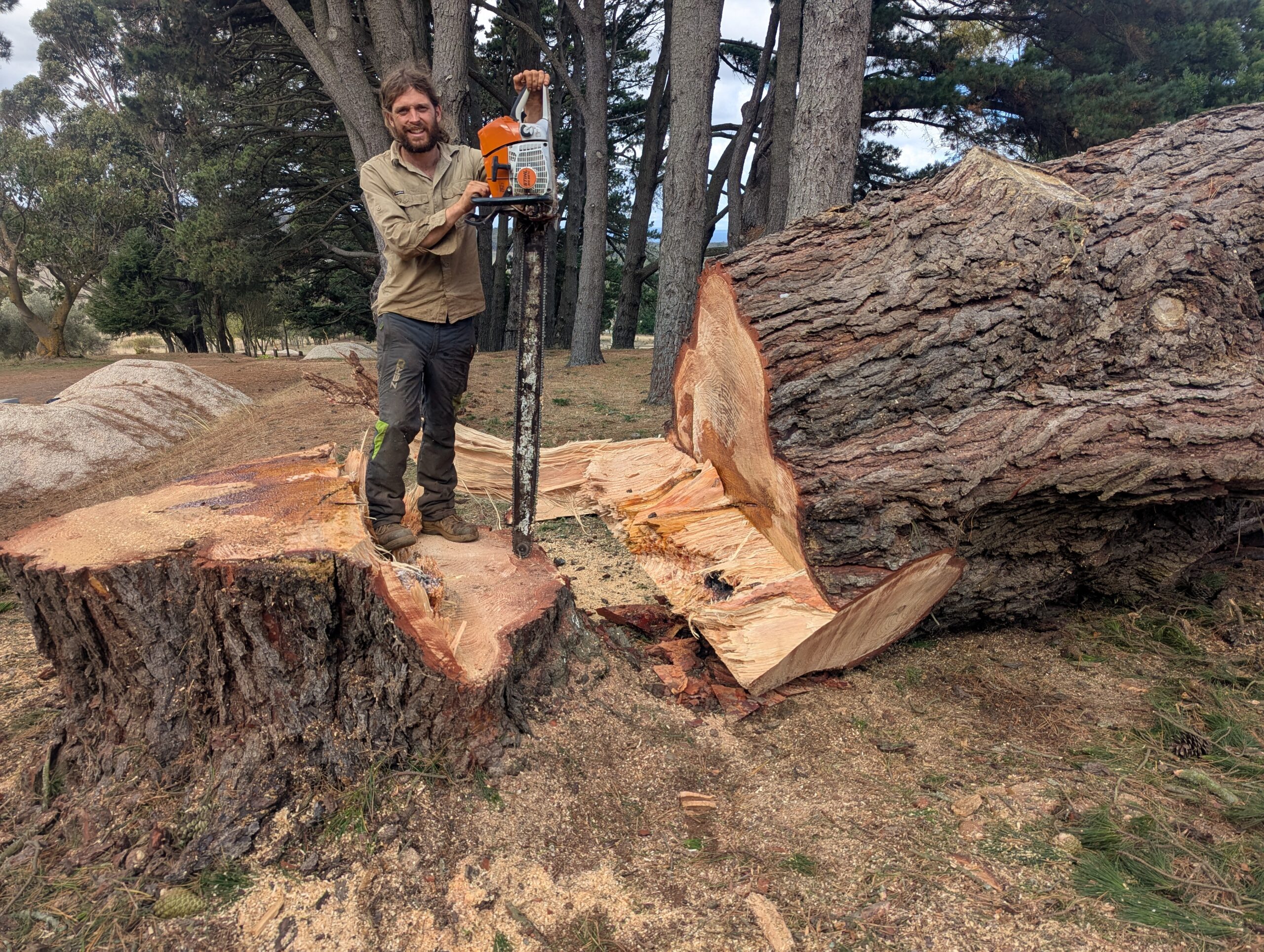 PXL 20250406 041751639.MP Scaled